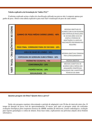 Tabela explicativa da formulação do “índice PAC”

       Conforme explicado acima o índice de classificação utilizado nas provas não é composto apenas por
ganho de peso. Abaixo uma tabela explicativa para mais fácil visualização do peso de cada critério.




       Quantas pesagens são feitas? Quanto dura a prova?



       Serão oito pesagens regulares (descontando o período de adaptação) com 28 dias de intervalo entre elas. O
tempo de duração da prova será de aproximadamente 10 meses, pois após as pesagens ainda são realizadas
avaliações fenotípicas pelos inspetores técnicos da ABHB, medidas de ultrassom, exames andrológicos, avaliação
para registro genealógico e coleta de sêmem. Estas fases todas, explicaremos nas próximas edições desse boletim
informativo.
 