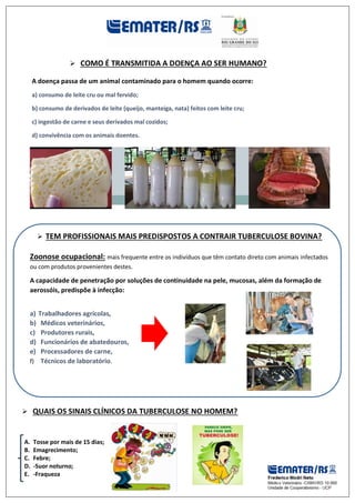  COMO É TRANSMITIDA A DOENÇA AO SER HUMANO?
A doença passa de um animal contaminado para o homem quando ocorre:
a) consumo de leite cru ou mal fervido;
b) consumo de derivados de leite (queijo, manteiga, nata) feitos com leite cru;
c) ingestão de carne e seus derivados mal cozidos;
d) convivência com os animais doentes.
 TEM PROFISSIONAIS MAIS PREDISPOSTOS A CONTRAIR TUBERCULOSE BOVINA?
Zoonose ocupacional: mais frequente entre os indivíduos que têm contato direto com animais infectados
ou com produtos provenientes destes.
A capacidade de penetração por soluções de continuidade na pele, mucosas, além da formação de
aerossóis, predispõe à infecção:
a) Trabalhadores agrícolas,
b) Médicos veterinários,
c) Produtores rurais,
d) Funcionários de abatedouros,
e) Processadores de carne,
f) Técnicos de laboratório.
 QUAIS OS SINAIS CLÍNICOS DA TUBERCULOSE NO HOMEM?
A. Tosse por mais de 15 dias;
B. Emagrecimento;
C. Febre;
D. -Suor noturno;
E. -Fraqueza
 