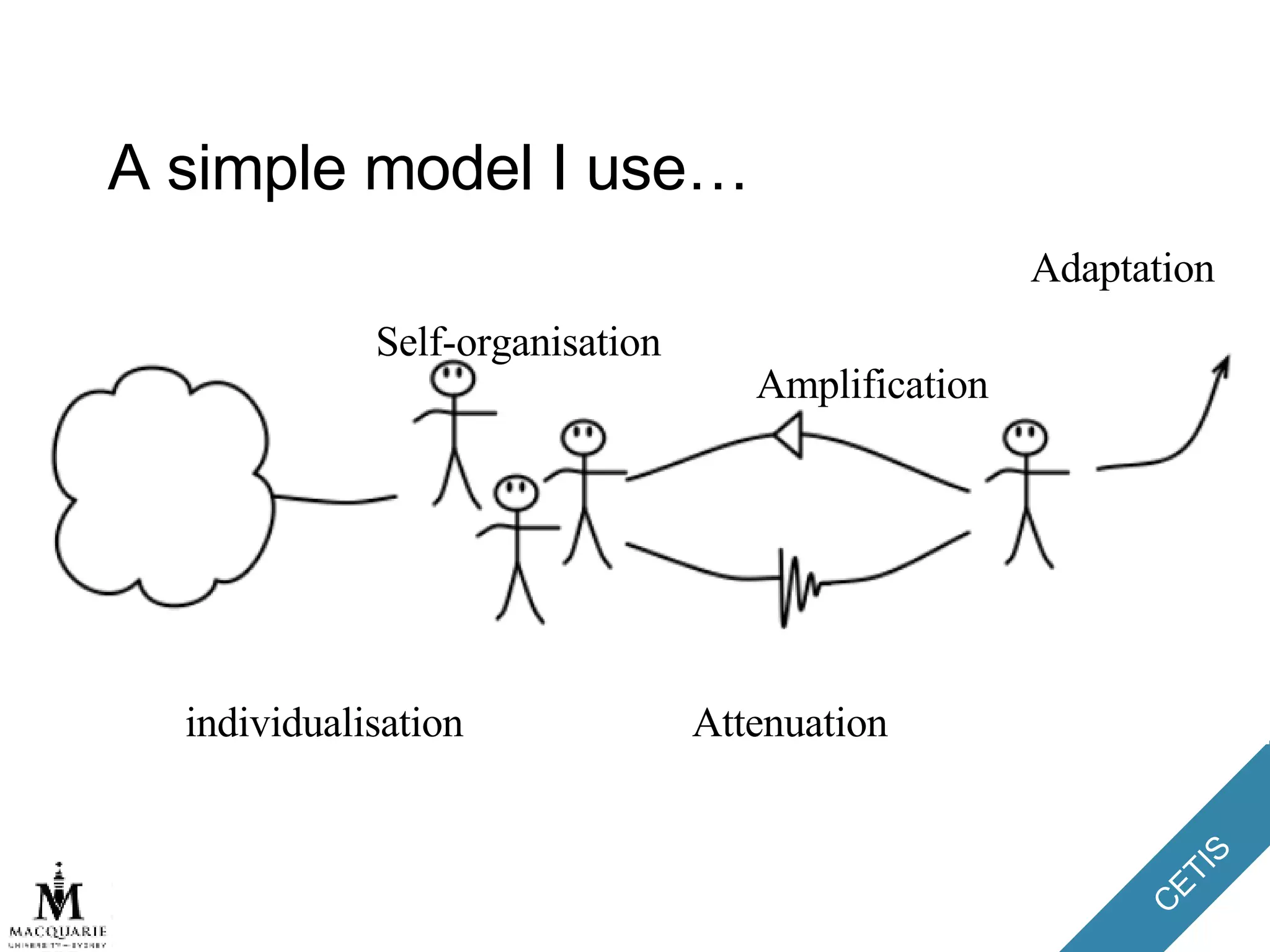 A simple model I use… Self-organisation individualisation Attenuation Amplification Adaptation 