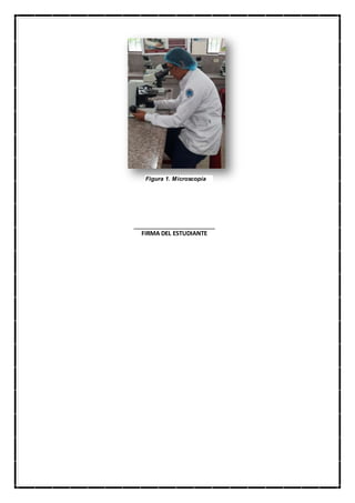 ___________________________________
FIRMA DEL ESTUDIANTE
Figura 1. Microscopía
 