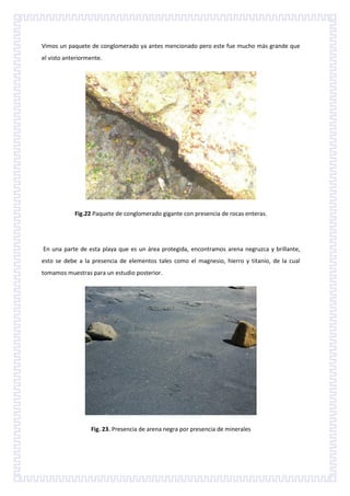 Vimos un paquete de conglomerado ya antes mencionado pero este fue mucho más grande que
el visto anteriormente.




            Fig.22 Paquete de conglomerado gigante con presencia de rocas enteras.




En una parte de esta playa que es un área protegida, encontramos arena negruzca y brillante,
esto se debe a la presencia de elementos tales como el magnesio, hierro y titanio, de la cual
tomamos muestras para un estudio posterior.




                  Fig. 23. Presencia de arena negra por presencia de minerales
 