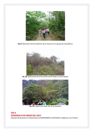 Fig.27. Caminata hacia los adentros de la reserva con mi grupo de compañeros.




              Fig. 28. Observación de la formación CAYO desde un punto lejano.




                        Fig. 29 Estadía a las orillas del río de Jocotoco.


DÍA 4
DOMINGO 6 DE ENERO DEL 2013
Después de desayunar en Playa Bruja nos REGRESAMOS A GUAYAQUIL y llegamos a las 2.50 pm.
 