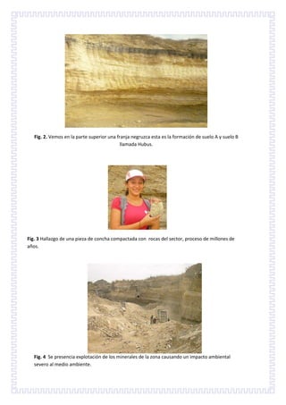 Fig. 2. Vemos en la parte superior una franja negruzca esta es la formación de suelo A y suelo B
                                            llamada Hubus.




Fig. 3 Hallazgo de una pieza de concha compactada con rocas del sector, proceso de millones de
años.




   Fig. 4 Se presencia explotación de los minerales de la zona causando un impacto ambiental
   severo al medio ambiente.
 