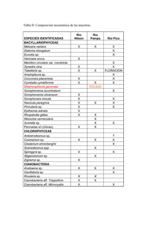 Tabla II: Composición taxonómica de las muestras.

                                      Río        Río
ESPECIES IDENTIFICADAS               Nilson     Pampa    Río Pico
BACYLLARIOPHYCEAE
Melosira varians                       X            X       X
Diatoma elongatum                                           X
Eunotia sp.                                                 X
Hannaea arcus                          X
Meridion circulare var. constricta                          X
Synedra ulna                           X                    X
Tabellaria sp.                         X            X   FLORACION
Amphipleura sp.                                             X
Cocconeis placentula                   X                    X
Cymbella cymbiformis                   X          X         X
Didymosphenia geminata                         ESCASA
Gomphonema acuminatum                                       X
Gomphonema olivaceum                   X
Gomphoneis minuta                      X                    X
Navicula peregrina                     X            X       X
Pinnularia sp.                         X                    X
Epithemia adnata                       X
Rhopalodia gibba                       X            X
Nitzschia vermicularis                              X
Surirella sp.                                       X       X
Pennadas s/i (chicas)                  X            X
CHLOROPHYCEAE
Ankistrodesmus sp.                                          X
Cosmarium sp.                          X            X       X
Closterium ehrenberghii                                     X
Scenedesmus spp.                                    X
Spirogyra sp.                          X                    X
Stigeoclonium sp.                                   X
Zignema sp.                            X
CIANOBACTERIA
Anabaena sp.                           X            X       X
Oscillatoria sp.                                            X
Rivularia sp.                          X            X
Cianobacteria aff. Tolypothrix         X            X
Cianobacteria aff. Microcystis         X                    X
 