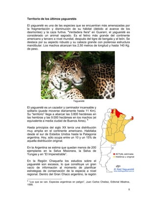Territorio de los últimos yaguaretés

El yaguareté es una de las especies que se encuentran más amenazadas por
la fragmentación y disminución de su hábitat (debido al avance de los
desmontes) y la caza furtiva. "Verdadera fiera" en Guaraní, el yaguareté es
considerado un animal sagrado. Es el felino más grande del continente
americano y tercero a nivel mundial, después del tigre de bengala y el león. Se
destaca por su aspecto robusto y su cabeza grande con poderosa estructura
mandibular. Los machos alcanzan los 2,50 metros de longitud y hasta 140 Kg.
de peso.




                                        Yaguareté

El yaguareté es un cazador y caminador incansable y
solitario (puede moverse diariamente hasta 11 Km).
Su “territorio” llega a abarcar las 3.800 hectáreas en
las hembras y las 9.000 hectáreas en los machos (el
equivalente a media ciudad de Buenos Aires). 8

Hasta principios del siglo XX tenía una distribución
muy amplia en el continente americano. Habitaba
desde el sur de Estados Unidos hasta la Patagonia
argentina. Hoy, sólo ocupa entre un 10 y un 15% de
aquella distribución original.

En la Argentina se estima que quedan menos de 200
ejemplares en la Selva Misionera, la Selva de
Yungas y en “El Impenetrable”.

En la Región Chaqueña los estudios sobre el
yaguareté son escasos, lo que constituye un gran
vacío de información al momento de planificar
estrategias de conservación de la especie a nivel
regional. Dentro del Gran Chaco argentino, la región

8
 “Los que se van. Especies argentinas en peligro”, Juan Carlos Chebez, Editorial Albatros,
1999.

                                                                                        8
 