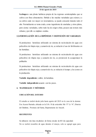 I.E. 88004-Manuel Gonzales Prada
24 de agosto de 2015
Página
13
Lechuga:es una planta herbácea propia de las regiones semitempladas que se
cultiva con fines alimentarios. Debido a las muchas variedades que existen y a
su cultivo cada vez mayor en invernaderos, se puede consumir durante todo el
año. Normalmente se toma cruda, como ingrediente de ensaladas y otros platos,
pero ciertas variedades, sobre todo las de origen chino, poseen una textura más
robusta y por ello se emplean cocidas.
3.2.FORMULACIÓN DE LA HIPÓTESIS Y DEFINICIÓN DE VARIABLES
Si producimos hortalizas utilizando un sistema de recirculación de agua con
policultivo de tilapia roja y camarón de rio, se reducirá el uso de fertilizantes en
las hortalizas.
Si producimos hortalizas utilizando un sistema de recirculación de agua con
policultivo de tilapia roja y camarón de rio, se promoverá la acuaponiaen la
población.
Si producimos hortalizas utilizando un sistema de recirculación de agua con
policultivo de tilapia roja y camarón de rio, se reducirá el tiempo y los costos en
la producción.
Variable dependiente: cultivo de hortalizas.
Variable independiente:acuario con los peces.
4. MATERIALES Y MÉTODOS
UBICACIÓN DEL ESTUDIO
El estudio se realizó desde julio hasta agosto del 2015 en la casa de la alumna:
Eva Acosta Hurtado, ubicada en la Urb. 10 de setiembre Mz “J” Lt “4”, Distrito
de Chimbote, Provincia del Santa, Departamento de Ancash.
RECIPIENTES
Se utilizaron dos tinas de plástico de forma circular de 60 l de capacidad.
No se realizó recambio de agua durante el ensayo, solo se agregó agua para
 