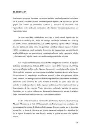 36
VI. DISCUSION
Los líquenes presentan formas de crecimiento variable, siendo el grupo de los foliosos
los de más fácil observación entre los macrolíquenes. Sipman (2002b) considera que los
grupos con formas de crecimiento foliáceas y fruticosas se encuentran bien
representados en los andes, en comparación a los líquenes crustáceos que parecen ser
menos importantes.
Se tiene muy poco conocimiento acerca de la biodiversidad liquénica en los
trópicos (Hawksworth y col., 2005). Sin embargo los trabajos realizados por Herrera y
col. (2004), Umaña y Sipman (2002), Ahti (2000), Sipman y Aguirre (1982), Lucking y
col. (no publicado), entre otros, nos permiten identificar algunas especies. Sipman
(2006) considera que en el neotrópico la mayoría de líquenes tiene una distribución
amplia debido a que son aparentemente capaces de colonizar varias especies de árboles
(y otros sustratos) bajo las condiciones ambientales propias de los trópicos.
Los bosques subtropicales de Machu Picchu albergan una diversidad de especies
de flora y fauna (Ochoa y Andrade, 2003; Moscoso y col., 2003; Franco y col., 1999) y
que se ve reflejada también en los líquenes. Las especies encontradas en las trochas del
Inkaterra Hotel mostraron una heterogénea variedad de líquenes referentes a las formas
de crecimiento. La metodología seguida nos permitió evaluar principalmente árboles
como sustratos, sin embargo el estudio podría complementarse considerando parámetros
adicionales como distancia del suelo, tamaño de muestra así como otros tipos de
sustrato. El estado reproductivo de los líquenes también es un factor delimitante para la
determinación de las especies. Varios ejemplares colectados carecían de cuerpos
fruticulares por lo cual no pudieron ser determinados hasta especie, aún así el principal
factor residió en la escasa literatura sobre especies del neotrópico.
En las visitas realizadas a las montañas de Poques y Putucusi, las cataratas de
Mandor, Alcamayo y al Km. 107 básicamente se observaron especies similares a las
encontradas en las trochas de Inkaterra Hotel, aunque debemos resaltar que el tiempo de
evaluación y la forma de colecta no nos permite hacer una comparación o aproximación
de la riqueza de especies en estos lugares, aunque se podría encontrar aún registros
nuevos.
 