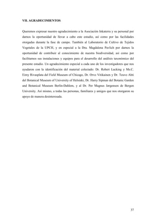 37
VII. AGRADECIMIENTOS
Queremos expresar nuestro agradecimiento a la Asociación Inkaterra y su personal por
darnos la oportunidad de llevar a cabo este estudio, así como por las facilidades
otorgadas durante la fase de campo. También al Laboratorio de Cultivo de Tejidos
Vegetales de la UPCH, y en especial a la Dra. Magdalena Pavlich por darnos la
oportunidad de contribuir al conocimiento de nuestra biodiversidad, así como por
facilitarnos sus instalaciones y equipos para el desarrollo del análisis taxonómico del
presente estudio. Un agradecimiento especial a cada uno de los investigadores que nos
ayudaron con la identificación del material colectado: Dr. Robert Lucking y Ms.C.
Eimy Rivasplata del Field Museum of Chicago, Dr. Orvo Vitikainen y Dr. Teuvo Ahti
del Botanical Museum of University of Helsinki, Dr. Harry Sipman del Botanic Garden
and Botanical Museum Berlín-Dahlem, y al Dr. Per Magnus Jørgensen de Bergen
University. Así mismo, a todas las personas, familiares y amigos que nos otorgaron su
apoyo de manera desinteresada.
 