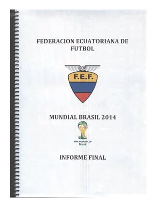FEF: Informe final del Mundial Brasil 2014