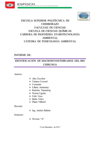 ESCUELA SUPERIOR POLITÉCNICA DE
CHIMBORAZO
FACULTAD DE CIENCIAS
ESCUELA DE CIENCIAS QUÍMICAS
CARRERA DE INGENIERÍA EN BIOTECNOLOGÍA
AMBIENTAL
CÁTEDRA DE TOXICOLOGÍA AMBIENTAL
INFORME DE:
IDENTIFICACIÓN DE MACROINVERTEBRADOS DEL RIO
CHIBUNGA
Autores:
 Alex Escobar
 Tatiana Coronel
 Cumanda
 Liliana Jumtamay
 Katerine Tipantasig
 Norma Ugenio
 Felix Vaca
 Belen Veloz
 Diana Villamil
Docente:
 Ing. Andrés Beltrán
Semestre:
 Noveno “A”
15 de Diciembre de 2017
 