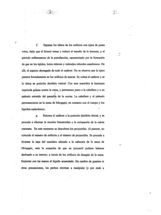 Informe pericial-dr.raffo