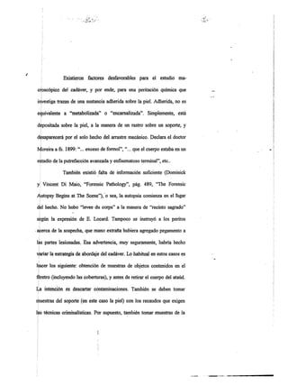 Informe pericial-dr.raffo