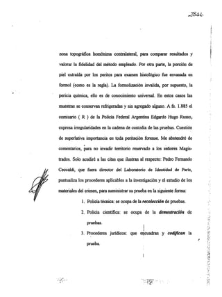 Informe pericial-dr.raffo