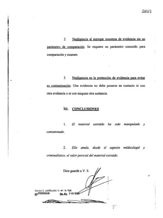 Informe pericial-dr.raffo