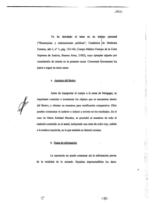 Informe pericial-dr.raffo