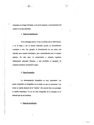 Informe pericial-dr.raffo