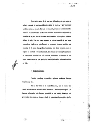 Informe pericial-dr.raffo