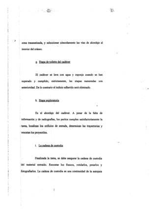 Informe pericial-dr.raffo