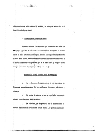 Informe pericial-dr.raffo