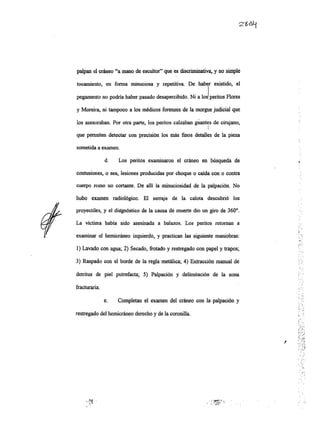 Informe pericial-dr.raffo