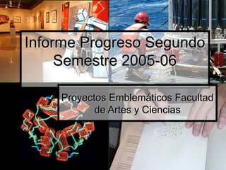 Informe Progreso Segundo Semestre 2005-06 Proyectos Emblemáticos Facultad de Artes y Ciencias 