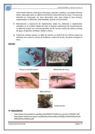 Informe ranas junin | DOC