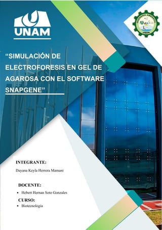 INFORME - “SIMULACIÓN DE ELECTROFORESIS EN GEL DE AGAROSA CON EL SOFTWARE SNAPGENE”.pdf