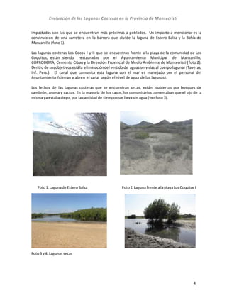 Evaluación de las Lagunas Costeras en la Provincia de Montecristi
4
impactadas son las que se encuentran más próximas a poblados. Un impacto a mencionar es la
construcción de una carretera en la barrera que divide la laguna de Estero Balsa y la Bahía de
Manzanillo (foto 1).
Las lagunas costeras Los Cocos I y II que se encuentran frente a la playa de la comunidad de Los
Coquitos, están siendo restauradas por el Ayuntamiento Municipal de Manzanillo,
COPRODEMA, Cemento Cibao y la Dirección Provincial de Medio Ambiente de Montecristi (foto 2).
Dentro de susobjetivosestála eliminacióndel vertido de aguas servidas al cuerpo lagunar (Taveras,
Inf. Pers.). El canal que comunica esta laguna con el mar es manejado por el personal del
Ayuntamiento (cierran y abren el canal según el nivel de agua de las lagunas).
Los lechos de las lagunas costeras que se encuentran secas, están cubiertos por bosques de
cambrón, aroma y cactus. En la mayoría de los casos, los comunitarios comentaban que el ojo de la
misma ya estaba ciego, por la cantidad de tiempo que lleva sin agua (ver foto 3).
Foto1.Lagunade EsteroBalsa Foto2.Lagunafrente alaplayaLosCoquitosI
Foto3 y4. Lagunassecas
 