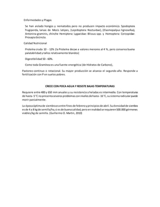 Enfermedades y Plagas
Se han aislado hongos y nematodos pero no producen impacto económico. Spodoptera
frugiperda, larvas de Mocis latipes, (Lepidoptera: Noctuidae), (Elasmopalpus lignosellus),
Antonina graminis, chinche Hemiptera: Lygaeidae: Blissus spp. y Homoptera: Cercopidae:
Prosapia bicincta.
Calidad Nutricional
Proteína cruda 10 - 12% (la Proteína decae a valores menores al 4 %, pero conserva buena
palatabilidad y tallos relativamente blandos)
Digestibilidad 50 - 60%.
Como toda Gramínea es una fuente energética (de Hidratos de Carbono),
Pastoreo continuo o rotacional. Su mayor producción se alcanza el segundo año. Responde a
fertilización con P en suelos pobres.
CRECE CON POCA AGUA Y RESISTE BAJAS TEMPERATURAS
Requiere entre 400 y 650 mm anuales y su resistencia a heladas es intermedia. Con temperaturas
de hasta-5°C nopresentaseverosproblemasconnivelesdehasta -16°C,susistemaradicularpuede
morir parcialmente.
La épocaóptimade siembraesentre finesde febreroyprincipiosde abril.Sudensidadde siembra
esde 4 a 8 kgde semilla/ha,si esde buenacalidad,peroenrealidadse requieren500.000 gérmenes
viables/kg de semilla. (Guillermo O. Martin, 2010)
 