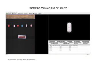 No pidas cantidad pide calidad “Análisis de medicamentos”.
ÍNDICE DE FORMA CURVA DEL FRUTO
 
