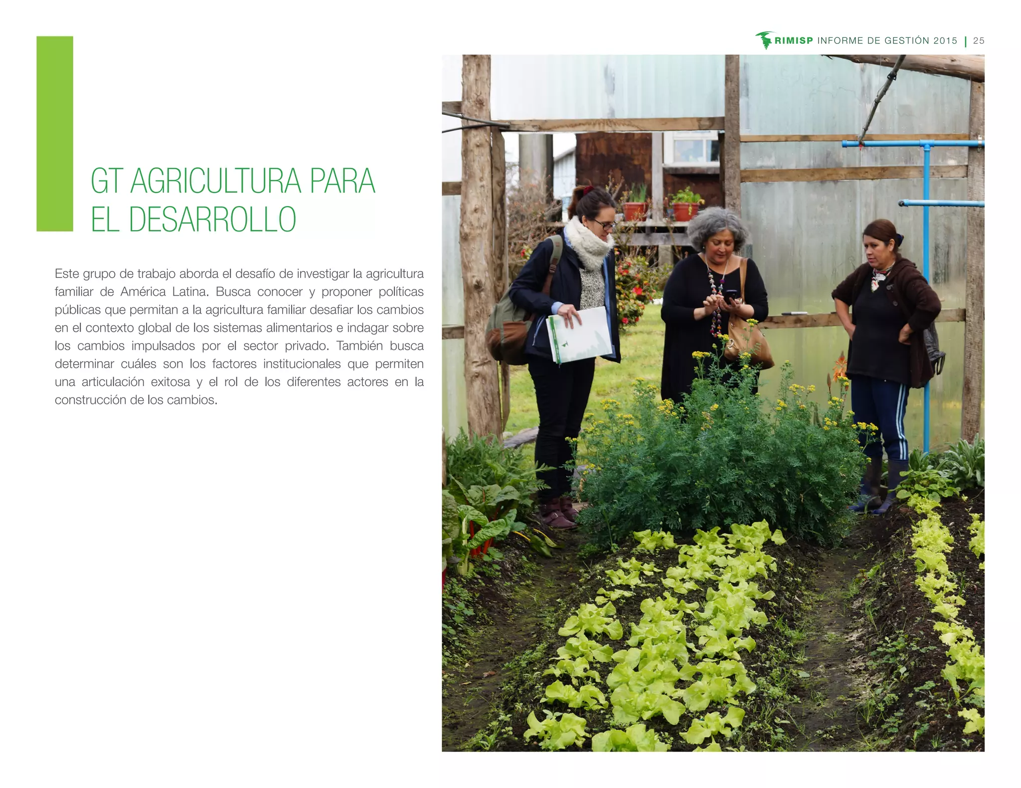 RIMISP INFORME DE GESTIÓN 2015 25
Este grupo de trabajo aborda el desafío de investigar la agricultura
familiar de América Latina. Busca conocer y proponer políticas
públicas que permitan a la agricultura familiar desafiar los cambios
en el contexto global de los sistemas alimentarios e indagar sobre
los cambios impulsados por el sector privado. También busca
determinar cuáles son los factores institucionales que permiten
una articulación exitosa y el rol de los diferentes actores en la
construcción de los cambios.
GT AGRICULTURA PARA
EL DESARROLLO
 