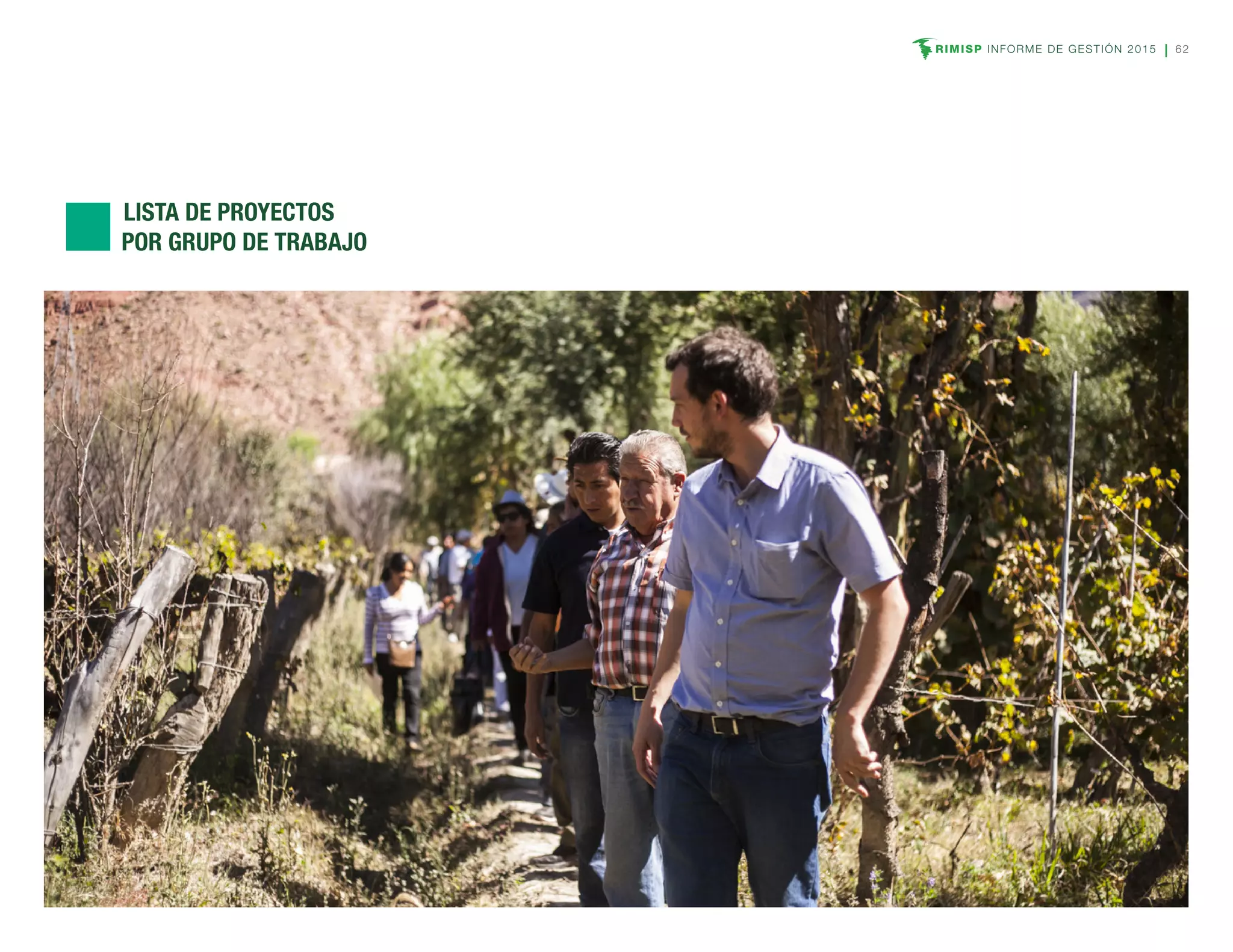 RIMISP INFORME DE GESTIÓN 2015 62
	 LISTA DE PROYECTOS
POR GRUPO DE TRABAJO
 