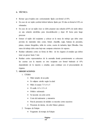 Página
14
6. TÉCNICA
 Revisar que el tejidos este correctamente fijado con formol al 10%
 En caso de ser tejido cerebral deberá haberse fijado por 30 dias en formol al 10% en
rebanadas.
 En caso de ser un tejido óseo se debe preparar una solución al10% de ácido nítrico
en una solución alcohólica para descalcificación y dejar 48 horas para luego
procesar
 Extraer el tejido del recipiente y colocar en la mesa de trabajo que debe estar
provista de materiales tales como; bisturí. chuchillo, regla, balanza de precisión,
pinzas, cámara fotográfica, tabla de cortar, caseta de inclusión, lápiz 2Btoallas. Esta
mesa de trabajo debe estar bajo una campana extractora de vapores.
 Realizar suficientes cortes en forma de libro de los órganos al estudiar que deben
tener un grosor hasta 3 mm
 Realizar cortes representativos de la anomalía donde posteriormente se colocaran
las casetas con la muestra en otro recipiente con formol buferado al 10%
dependiendo de la muestra a estudiar, para continuar con el procesamiento de
órganos.
7. OBSERVACIONES
1. ÚTERO
 Mide tamaño de un puño
 Es vulipara atrofia según la edad
 Mide el cuerpo 7.5 x 8 x 5
 El cuello 4.5 x 3.5 x 4
 Orificio redoneado
 Se necesita un corte cervix
 Corte del endomerio y miometrio
 Para la presencia de nódulos se necesita cortes sucesivos
 Presencia de mioma, de color blanco grisáceo
2. Trompas de Falopio
 Fragmento de trompa de Falopio
 