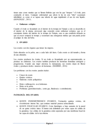 Página5
tienen unas como manitas que se llaman fimbrias que son las que “atrapan “ el óvulo, para
conducirlo al útero. Cualquier enfermedad que afecte la luz de este “tubo” ocasionará
infertilidad, es como si se tapara una tubería de agua impidiendo el uso de este líquido.
(GONZÁLEZ , 2011) .
 Embarazo ectópico
Cuando el óvulo es fecundado en el interior de la trompa de Falopio y este se desarrolla en
el interior de la misma, provocará algo conocido como embarazo ectópico, que es el
crecimiento dentro del interior de la trompa de Falopio, esta es una condición delicada ya
que al crecer romperá la trompa y ocasionará una emergencia médica que aun puede poner
en peligro la vida del bebe.
3. OVARIO
Los ovarios son dos órganos que tienen las mujeres.
Están ubicados en la pelvis, uno a cada lado del útero. Cada ovario es del tamaño y forma
de una almendra.
Los ovarios producen los óvulos. Si un óvulo es fecundando por un espermatozoide, se
produce un embarazo. Los ovarios también producen las hormonas femeninas estrógeno y
progesterona. Cuando una mujer atraviesa la menopausia, sus ovarios dejan de liberar
óvulos y producen niveles menores de hormonas. (MADRID , 2016)
Los problemas con los ovarios pueden incluir:
 Cáncer de ovario
 Quistes ováricos
 Síndrome ovario poliquístico

 Dolor o inflamación en el abdomen.
 Dolor en la pelvis.
 Problemas gastrointestinales, como gas, flatulencia o estreñimiento.
PATOLOGÍA DEL OVARIO.
 QUISTE ENDOMETRIOSICO OVARICO. Formación quística ovárica, de
revestimiento interno liso, que contiene material pastoso achocolatado.
 QUISTE FOLICULAR OVARICO. Corte histológico a bajo aumento de la pared
de un quiste ovárico único. El lumen está delimitado por varias capas de células de
la granulosa. Las células de la granulosa están separadas por una membrana basal de
las capas de células de la teca interna
 