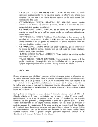 Página6
 SINDROME DE OVARIO POLIQUISTICO. Corte de dos trozos de ovario
removidos quirúrgicamente. En la superficie externa se observa una gruesa capa
albugínea. En cada ovario hay varios folículos, algunos con la pared amarilla (por
luteinización de la teca).
 CISTOADENOMA SEROSO BILATERAL DEL OVARIO. Ambos ovarios
aumentados de tamaño, de contorno policíclico, debido a la existencia de varios
compartimientos quísticos en cada uno.
 CISTOADENOMA SEROSO PAPILAR. Se ha abierto un compartimiento que
muestra una pared lisa, en la cual hay escasas papilas no ramificadas (cistoadenoma
seroso papilar).
 CISTOADENOMA SEROSO PAPILAR. Corte histológico a bajo aumento de la
pared de un compartimiento. Se observa tejido conectivo, que se prolonga hacia el
lumen formando el eje de papilas no ramificadas. El epitelio neoplásico forma una
sola capa de células similares entre sí.
 CISTOADENOMA SEROSO. Detalle del epitelio neoplásico, que es similar al de
la trompa de Fallopio normal, formado por una sola capa de células cilíndricas,
muchas de las cuales son ciliadas.
 TUMOR SEROSO PAPILAR LIMITROFE. Tumor quístico que contiene papilas
abundantes, ramificadas.
 TUMOR SEROSO PAPILAR LIMITROFE. El revestimiento del quiste, y de las
papilas, consiste en células epiteliales con alta densidad de núcleos, que en partes se
agrupan en prolongaciones hacia el lumen. No hay invasión del estroma.
4. PRÓSTATA
Órgano compuesto por glándulas y estroma, ambos íntimamente unidos y delimitados por
la cápsula prostática común. Tiene forma de castaña o triángulo achatado en su base o cara
superior. Pesa 20 a 25 g y mide 3 x 4 x 2,5 cm en el hombre adulto. Está alojada en el
compartimiento o nicho prostático inmediatamente por debajo de la vejiga, en relación con
la cual se halla su base o cara superior. Su extremo opuesto, más aguzado, el ápex o vértice
prostático, termina junto al segmento distal de la uretra prostática en la aponeurosis perineal
media. (ROSENGERG)
En la próstata se distinguen tres zonas: a) zona de transición , correspondiente al 10% de la
glándula, ubicada en la base y en relación con la uretra y vejiga; b) zona central ,
correspondiente al 20% de la glándula, ocupa la base en relación con las vesículas
seminales; c) zona periférica , correspondiente al resto de la glándula (70%). La zona
central probablemente es de origen wolffiano, mientras que las zonas de transición y
periférica derivan de evaginaciones de la uretra proximal, de origen cloacal. Las glándulas
de la próstata están formadas en su mayor parte por células secretoras, de las que derivan
los adenocarcinomas, que son los tumores más frecuentes de este órgano. Dichas células
secretan fosfatasa ácida y poseen antígeno prostático específico, utilizado en la
identificación de tumores derivados de estas células.
 