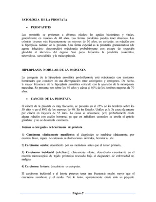 Página7
PATOLOGIA DE LA PROSTATA
 PROSTATITIS
Las prostatitis se presentan a diversas edades; las agudas bacterianas y virales,
generalmente en menores de 40 años. Las formas purulentas pueden tener abscesos. Las
crónicas ocurren más frecuentemente en mayores de 50 años, en particular, en relación con
la hiperplasia nodular de la próstata. Una forma especial es la prostatitis granulomatosa (de
agente infeccioso desconocido) relacionada probablemente con escape de secreción
glandular al intersticio del órgano. Son poco frecuentes la prostatitis eosinofílica,
tuberculosa, sarcoidótica y la malacoplaquia.
HIPERPLASIA NODULAR DE LA PROSTATA
La patogenia de la hiperplasia prostática probablemente está relacionada con trastornos
hormonales que consisten en una disrregulación entre andrógenos y estrógenos. De hecho,
la mayor frecuencia de la hiperplasia prostática coincide con la aparición de la menopausia
masculina. Se presenta por sobre los 40 años y afecta al 80% de los hombres mayores de 70
años.
 CANCER DE LA PROSTATA
El cáncer de la próstata es muy frecuente, se presenta en el 25% de los hombres sobre los
50 años y en el 80% de los mayores de 90. En los Estados Unidos es la 3a causa de muerte
por cáncer en mayores de 55 años. La causa se desconoce, pero probablemente existe
alguna relación con acción hormonal ya que en individuos castrados se atrofia el epitelio
grandular y no se desarrolla carcinoma.
Formas o categorías del carcinoma de próstata
1) Carcinoma clínicamente manifiesto: el diagnóstico se establece clínicamente, por
examen físico, signos de estenosis u obstrucciones uretrales, hematuria, etc.
2) Carcinoma oculto: descubierto por sus metástasis antes que el tumor primario,
3) Carcinoma incidental (subclínico): clínicamente silente, descubierto casualmente en el
examen microscópico de tejido prostático resecado bajo el diagnóstico de enfermedad no
maligna.
4) Carcinoma latente: descubierto en autopsias.
El carcinoma incidental y el latente parecen tener una frecuencia mucho mayor que el
carcinoma manifiesto y el oculto. Por lo tanto, aparentemente existe sólo un pequeño
 