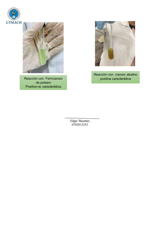 Edgar Basantes
0705812253
Reacción con cianuro alcalino
positiva característicaReacción con Ferricianuro
de potasio
Positivo no característica
 