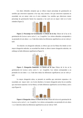 4
Los datos obtenidos arrojaron que se obtuvo mayor porcentaje de germinación en
semillas que estuvieron expuestas a luz roja, muy cercana a las que estuvieron expuestas en
oscuridad, con un menor valor en el error estándar. Las semillas que obtuvieron menor
porcentaje de germinación fueron las expuestas a luz azul con un mayor valor en el error
estándar (Figura 2).
Figura 2. Porcentaje de Germinación v/s Efecto de la luz. Efecto de la luz en la
germinación de Lactuca sativa sativa L. var. Longifolia. Los valores obtenidos corresponden a
un promedio de seis datos ± e.e. Cada letra indica las diferencias significativas con un valor p<
0,05.
En relación a la elongación radicular, se obtuvo que con luz blanca fue donde se tuvo
mayor elongación radicular, en oscuridad fue donde se obtuvo menor elongación radicular, sin
embargo no hubo diferencia significativa (Figura 3).
Figura 3. Elongación Radicular v/s Efecto de la Luz. Efecto de la luz en la
germinación de Lactuca sativa sativa L. var. Longifolia. Los valores corresponden a un
promedio de seis datos ± e.e. Cada letra indica las diferencias significativas con un valor p<
0,05.
La mayor elongación aérea, se presentó en semillas que estuvieron expuestas a la
oscuridad, con mayor valor en el error absoluto y la menor elongación aérea fue en semillas
que estuvieron expuestas a la luz blanca, no hubo diferencia significativa con luz blanca, azul u
roja (Figura 4).
Figura 4. Elongación Aérea v/s Efecto de la luz. Efecto de la luz en la germinación de
Lactuca sativa sativa L. var. Longifolia. Los valores corresponden a un promedio de seis datos
± e.e. Cada letra indica las diferencias significativas con un valor p< 0,05.
 