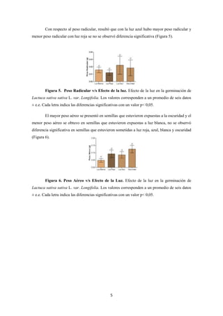 5
Con respecto al peso radicular, resultó que con la luz azul hubo mayor peso radicular y
menor peso radicular con luz roja se no se observó diferencia significativa (Figura 5).
Figura 5. Peso Radicular v/s Efecto de la luz. Efecto de la luz en la germinación de
Lactuca sativa sativa L. var. Longifolia. Los valores corresponden a un promedio de seis datos
± e.e. Cada letra indica las diferencias significativas con un valor p< 0,05.
El mayor peso aéreo se presentó en semillas que estuvieron expuestas a la oscuridad y el
menor peso aéreo se obtuvo en semillas que estuvieron expuestas a luz blanca, no se observó
diferencia significativa en semillas que estuvieron sometidas a luz roja, azul, blanca y oscuridad
(Figura 6).
Figura 6. Peso Aéreo v/s Efecto de la Luz. Efecto de la luz en la germinación de
Lactuca sativa sativa L. var. Longifolia. Los valores corresponden a un promedio de seis datos
± e.e. Cada letra indica las diferencias significativas con un valor p< 0,05.
 