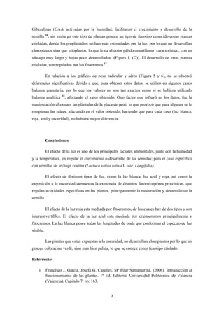 7
Giberelinas (GA1), activadas por la humedad, facilitaron el crecimiento y desarrollo de la
semilla 16
, sin embargo este tipo de plantas poseen un tipo de fenotipo conocido como plantas
etioladas, donde los proplastidios no han sido estimulados por la luz, por lo que no desarrollan
cloroplastos sino que etioplastos, lo que le da el color pálido-amarillento característico, con un
vástago muy largo y hojas poco desarrolladas (Figura 1, (D)). El desarrollo de estas plantas
etioladas, son regulados por los fitocromos 17
.
En relación a los gráficos de peso radicular y aéreo (Figura 5 y 6), no se observó
diferencias significativas debido a que, para obtener estos datos, se utilizo en algunos casos
balanza granataria, por lo que los valores no son tan exactos como si se hubiera utilizado
balanza analítica 18
, afectando el valor obtenido. Otro factor que influyó en los datos, fue la
manipulación al extraer las plántulas de la placa de petri, lo que provocó que para algunas se le
rompieran las raíces, afectando en el valor obtenido, haciendo que para cada caso (luz blanca,
roja, azul y oscuridad), no hubiera mayor diferencia.
Conclusiones
El efecto de la luz es uno de los principales factores ambientales, junto con la humedad
y la temperatura, en regular el crecimiento o desarrollo de las semillas; para el caso especifico
con semillas de lechuga costina (Lactuca sativa sativa L. var. Longifolia).
El efecto de distintos tipos de luz, como la luz blanca, luz azul y roja, así como la
exposición a la oscuridad demuestra la existencia de distintos fotorreceptores proteínicos, que
regulan actividades específicas en las plantas, principalmente la maduración y desarrollo de la
semilla.
El efecto de la luz roja esta mediada por fitocromos, de los cuales hay de dos tipos y son
interconvertibles. El efecto de la luz azul esta mediada por criptocromos principalmente y
fitocromos. La luz blanca posee todas las longitudes de onda que conforman el espectro de luz
visible.
Las plantas que están expuestas a la oscuridad, no desarrollan cloroplastos por lo que no
poseen coloración verde, sino mas bien pálida, lo que se conoce como fenotipo etiolado.
Referencias
1 Francisco J. Garcia. Josefa G. Caselles. Mª Pilar Santamarina. (2006). Introducción al
funcionamiento de las plantas. 1º Ed. Editorial Universidad Politécnica de Valencia
(Valencia). Capitulo 7. pp: 163.
 