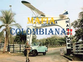 Mafia
colombiana!!
 