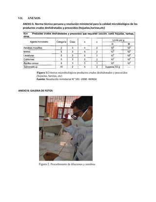 VII. ANEXOS
ANEXO A. Norma técnica peruana y resolución ministerial para la calidad microbiológica de los
productos crudos deshidratados y precocidos (hojuelas,harinas,etc)
Figura 1.Criterios microbiológicos productos crudos deshidratados y precocidos
(hojuelas, harinas, etc)
Fuente: Resolución ministerial N° 591 -2008 –MINSA
ANEXO B: GALERIA DE FOTOS
Figura 2. Procedimiento de diluciones y siembras
 