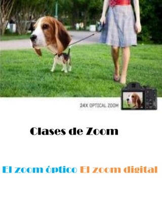 Clases de Zoom


El zoom óptico El zoom digital
 
