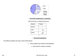 PHCE IMM-ANEP-FAgro-UdelaR 58
 FRACCIÓN INORGÁNICA O MINERAL
Clasificación por el tamaño de partícula
Nombre Tamaño
Arcilla
Limo
Arena

 FRACCIÓN ORGÁNICA:
Es la Materia Orgánica del suelo y está constituida por:
 restos orgánicos parcialmente descompuestos,
 humus (materia orgánica estable) y
25
25
5
45
AIRE
AGUA
MATERIA
ORGANICA
MATERIAL
MINERAL
 