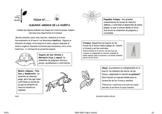 PHCE IMM-ANEP-FAgro-UdelaR 63
 