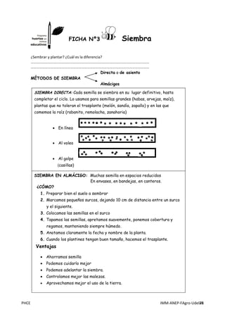 PHCE IMM-ANEP-FAgro-UdelaR78
PHCE IMM-ANEP-FAgro-UdelaR
¿Sembrar y plantar? ¿Cuál es la diferencia?
………………………………………………………………………………………………………………
………………………………………………………………………………………………………………
Directa o de asiento
MÉTODOS DE SIEMBRA
Almácigos
̇̇
SIEMBRA DIRECTA: Cada semilla se siembra en su lugar definitivo, hasta
completar el ciclo. Lo usamos para semillas grandes (habas, arvejas, maíz),
plantas que no toleran el trasplante (melón, sandía, zapallo) y en las que
comemos la raíz (rabanito, remolacha, zanahoria)
 En línea
 Al voleo
 Al golpe
(casillas)
SIEMBRA EN ALMÁCIGO: Muchas semilla en espacios reducidos
En envases, en bandejas, en canteros.
¿CÓMO?
1. Preparar bien el suelo a sembrar
2. Marcamos pequeños surcos, dejando 10 cm de distancia entre un surco
y el siguiente.
3. Colocamos las semillas en el surco
4. Tapamos las semillas, apretamos suavemente, ponemos cobertura y
regamos, manteniendo siempre húmedo.
5. Anotamos claramente la fecha y nombre de la planta.
6. Cuando los plantines tengan buen tamaño, hacemos el trasplante.
Ventajas
 Ahorramos semilla
 Podemos cuidarlo mejor
 Podemos adelantar la siembra.
 Controlamos mejor las malezas.
 Aprovechamos mejor el uso de la tierra.
FICHA Nº3 Siembra
 