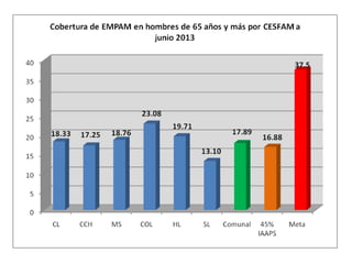 Informe adultojunio2013