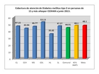 Informe adultojunio2013