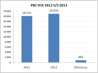 Informe adultojunio2013