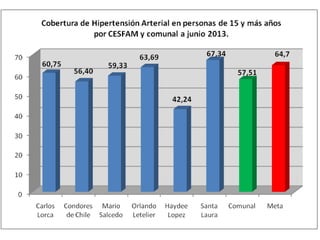 Informe adultojunio2013